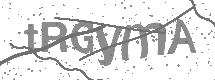 visual captcha